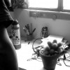 cactus cactus